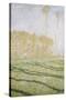 Spring Countryside at Giverny-Claude Monet-Stretched Canvas