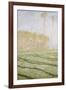 Spring Countryside at Giverny-Claude Monet-Framed Giclee Print