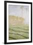 Spring Countryside at Giverny-Claude Monet-Framed Giclee Print