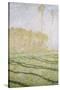 Spring Countryside at Giverny-Claude Monet-Stretched Canvas
