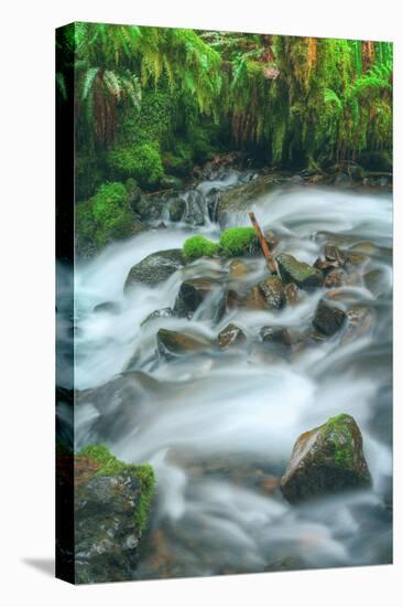 Spring Creek Detail, Columbia River Gorge, Oregon-Vincent James-Stretched Canvas