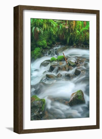 Spring Creek Detail, Columbia River Gorge, Oregon-Vincent James-Framed Photographic Print