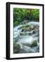 Spring Creek Detail, Columbia River Gorge, Oregon-Vincent James-Framed Photographic Print