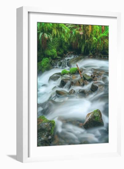 Spring Creek Detail, Columbia River Gorge, Oregon-Vincent James-Framed Photographic Print