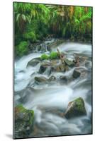 Spring Creek Detail, Columbia River Gorge, Oregon-Vincent James-Mounted Photographic Print