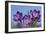 Spring Crocus, Norfolk-Ernie Janes-Framed Photographic Print