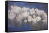 Spring Crocuses, 2018-Helen White-Framed Stretched Canvas