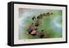 Spring Cultivation-Li Feng-lin-Framed Stretched Canvas