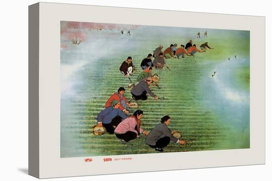 Spring Cultivation-Li Feng-lin-Stretched Canvas