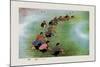 Spring Cultivation-Li Feng-lin-Mounted Art Print