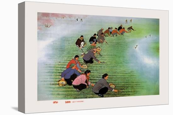 Spring Cultivation-Li Feng-lin-Stretched Canvas