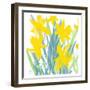 Spring Daffodils-Jenny Frean-Framed Giclee Print