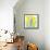 Spring Daffodils-Jenny Frean-Framed Stretched Canvas displayed on a wall