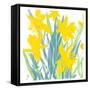 Spring Daffodils-Jenny Frean-Framed Stretched Canvas