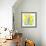 Spring Daffodils-Jenny Frean-Framed Giclee Print displayed on a wall