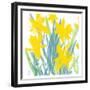 Spring Daffodils-Jenny Frean-Framed Giclee Print