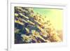 Spring Daisy Flowers Border. Beautiful Nature Scene with Blooming Chamomiles in Sun Flare. Sunny Da-Subbotina Anna-Framed Photographic Print