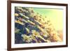 Spring Daisy Flowers Border. Beautiful Nature Scene with Blooming Chamomiles in Sun Flare. Sunny Da-Subbotina Anna-Framed Photographic Print