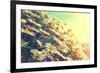 Spring Daisy Flowers Border. Beautiful Nature Scene with Blooming Chamomiles in Sun Flare. Sunny Da-Subbotina Anna-Framed Photographic Print