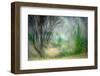 Spring Dance-Ursula Abresch-Framed Photographic Print