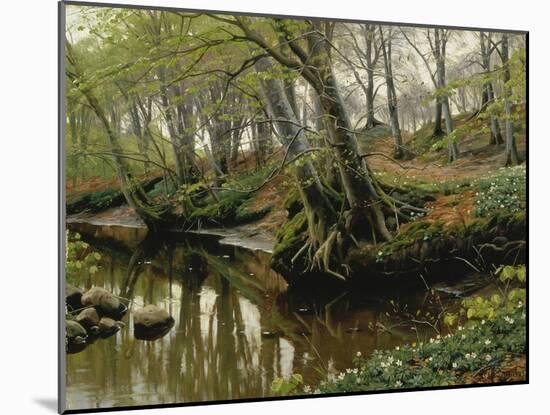 Spring Day at the Edge of the Woods, 1909-Pedro Orrente-Mounted Giclee Print