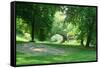 Spring Day in Central Park, New York City-Zigi-Framed Stretched Canvas