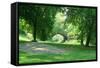 Spring Day in Central Park, New York City-Zigi-Framed Stretched Canvas