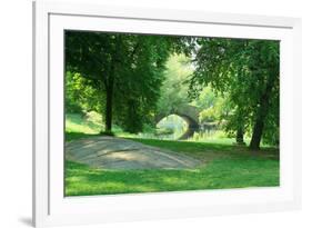 Spring Day in Central Park, New York City-Zigi-Framed Photographic Print