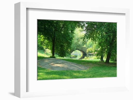 Spring Day in Central Park, New York City-Zigi-Framed Photographic Print