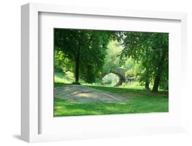 Spring Day in Central Park, New York City-Zigi-Framed Photographic Print