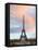 Spring Days in Paris-Emily Navas-Framed Stretched Canvas