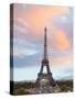 Spring Days in Paris-Emily Navas-Stretched Canvas