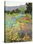 Spring Days-Ellie Freudenstein-Stretched Canvas