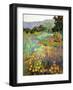 Spring Days-Ellie Freudenstein-Framed Art Print