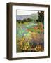 Spring Days-Ellie Freudenstein-Framed Art Print