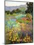 Spring Days-Ellie Freudenstein-Mounted Art Print