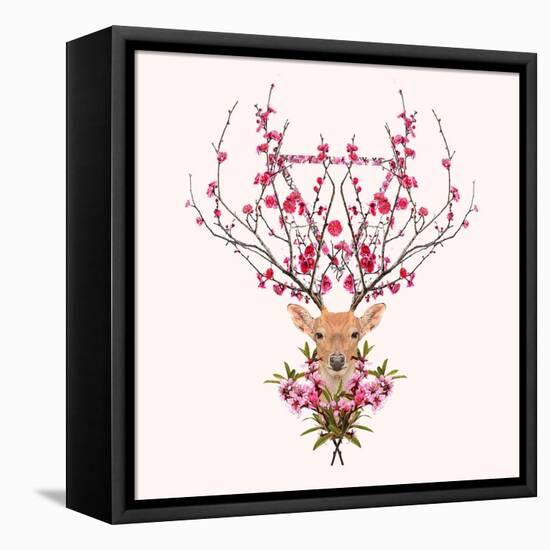 Spring Deer-Robert Farkas-Framed Stretched Canvas