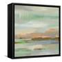 Spring Desert I-Silvia Vassileva-Framed Stretched Canvas