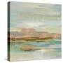 Spring Desert II-Silvia Vassileva-Stretched Canvas