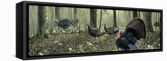 Spring Display-Wilhelm Goebel-Framed Stretched Canvas