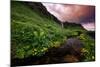 Spring Drama and Wildflowers, Seljalandsfoss, Iceland-Vincent James-Mounted Photographic Print