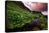 Spring Drama and Wildflowers, Seljalandsfoss, Iceland-Vincent James-Stretched Canvas