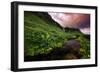 Spring Drama and Wildflowers, Seljalandsfoss, Iceland-Vincent James-Framed Photographic Print