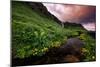 Spring Drama and Wildflowers, Seljalandsfoss, Iceland-Vincent James-Mounted Photographic Print