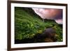 Spring Drama and Wildflowers, Seljalandsfoss, Iceland-Vincent James-Framed Photographic Print