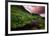 Spring Drama and Wildflowers, Seljalandsfoss, Iceland-Vincent James-Framed Photographic Print