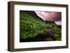 Spring Drama and Wildflowers, Seljalandsfoss, Iceland-Vincent James-Framed Photographic Print