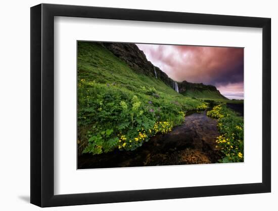 Spring Drama and Wildflowers, Seljalandsfoss, Iceland-Vincent James-Framed Photographic Print