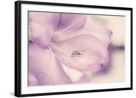 Spring Dream-John Harper-Framed Giclee Print