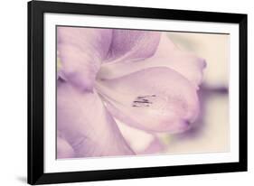 Spring Dream-John Harper-Framed Giclee Print